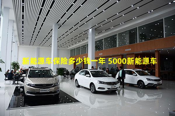 新能源车保险多少钱一年 5000新能源车 车标是一串英文